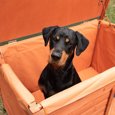 Spar-Komplettset: Hundehütte Woody Flachdach mit Isolierung