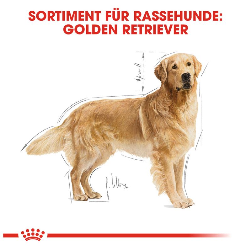 Royal Canin Golden Retriever Adult