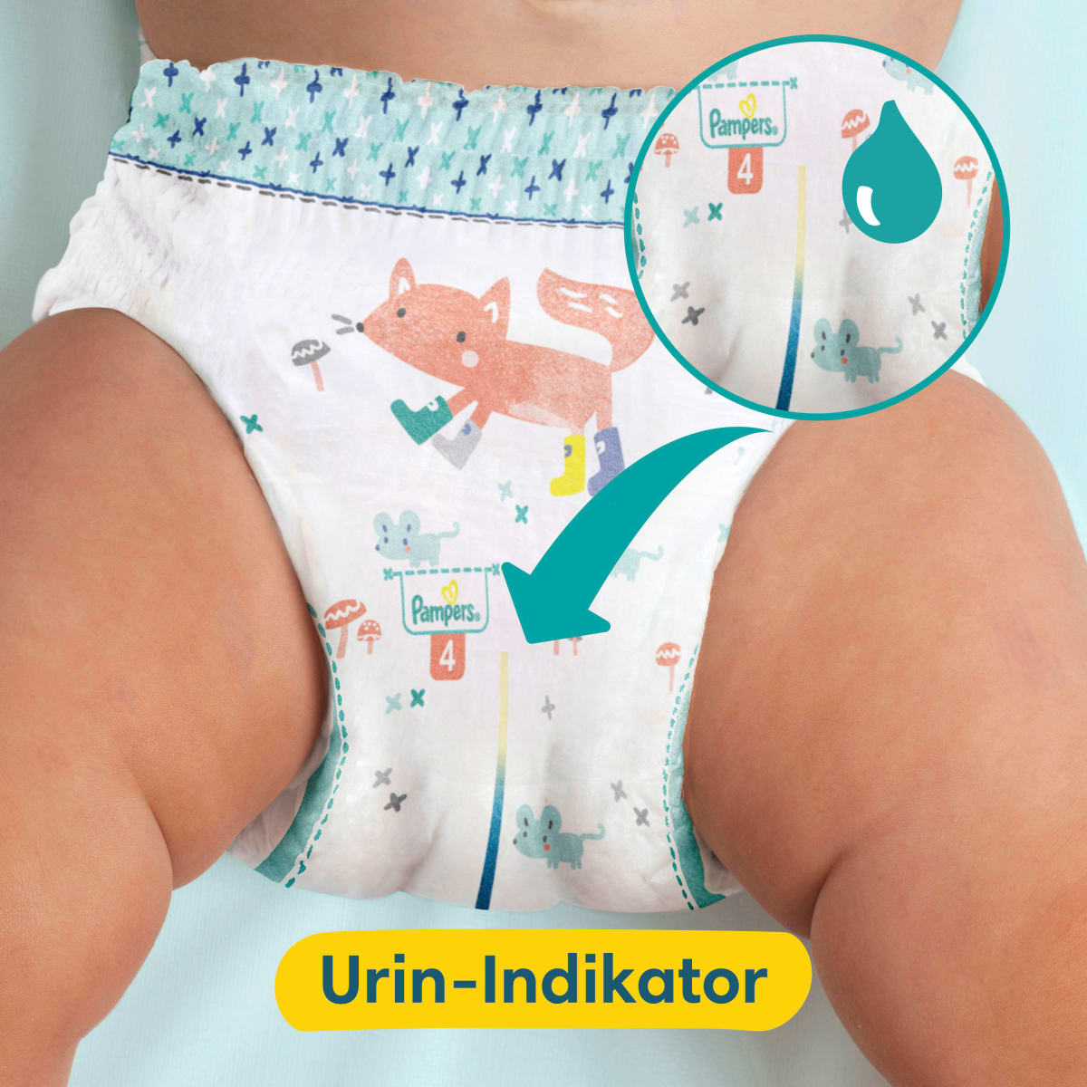 Baby Pants Premium Protection Gr.6 Extra Large (15+ kg), Monatsbox, 132 St