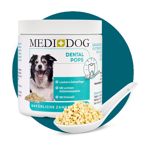 MediDog Zahnpflege MediDog Dental Pops