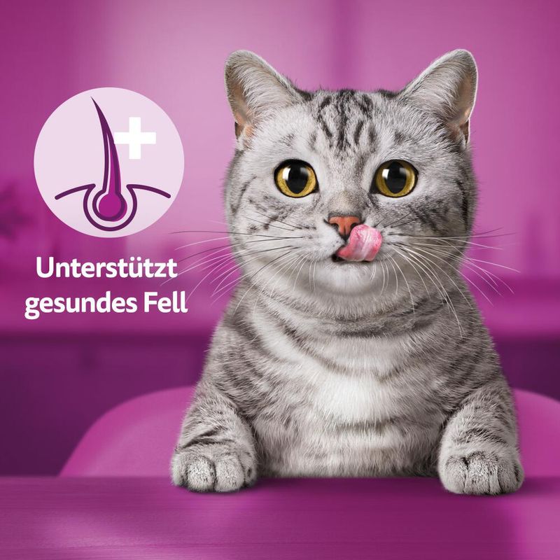 Whiskas Gesundes Fell zu TOP-Preisen
