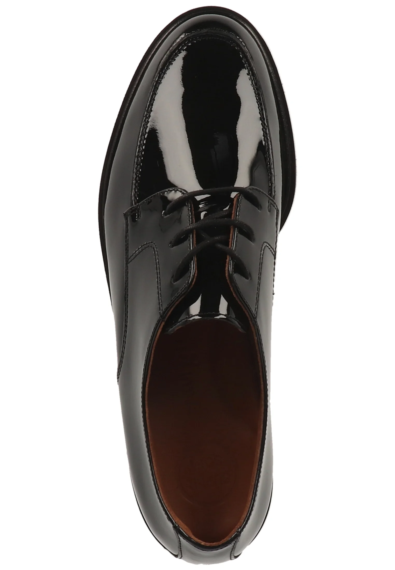 Zapatos con cordones Paul Green