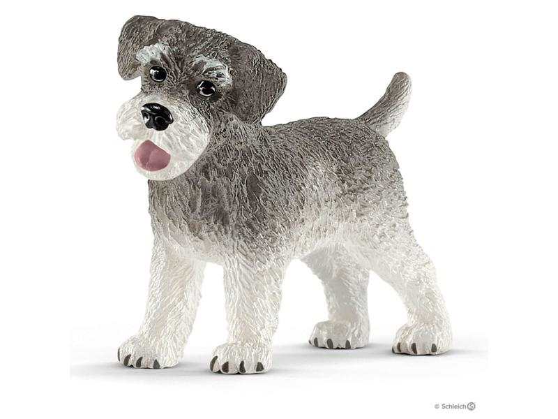 Schnauzer nain