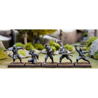 Ninjas (5)
