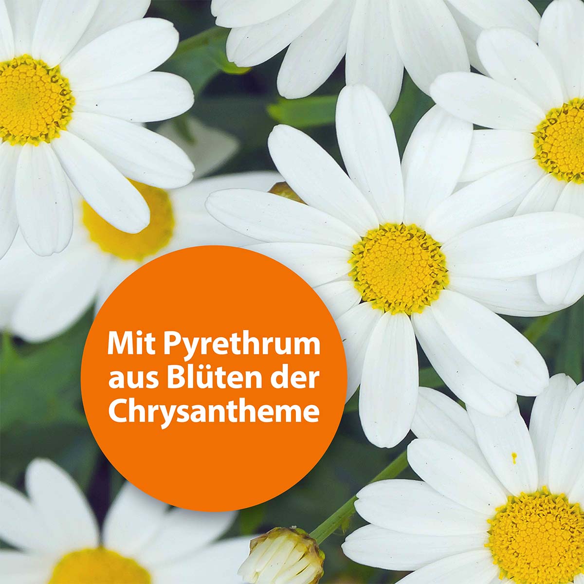 ARDAP GREEN Milbenspray 400ml günstig kaufen bei ZooRoyal