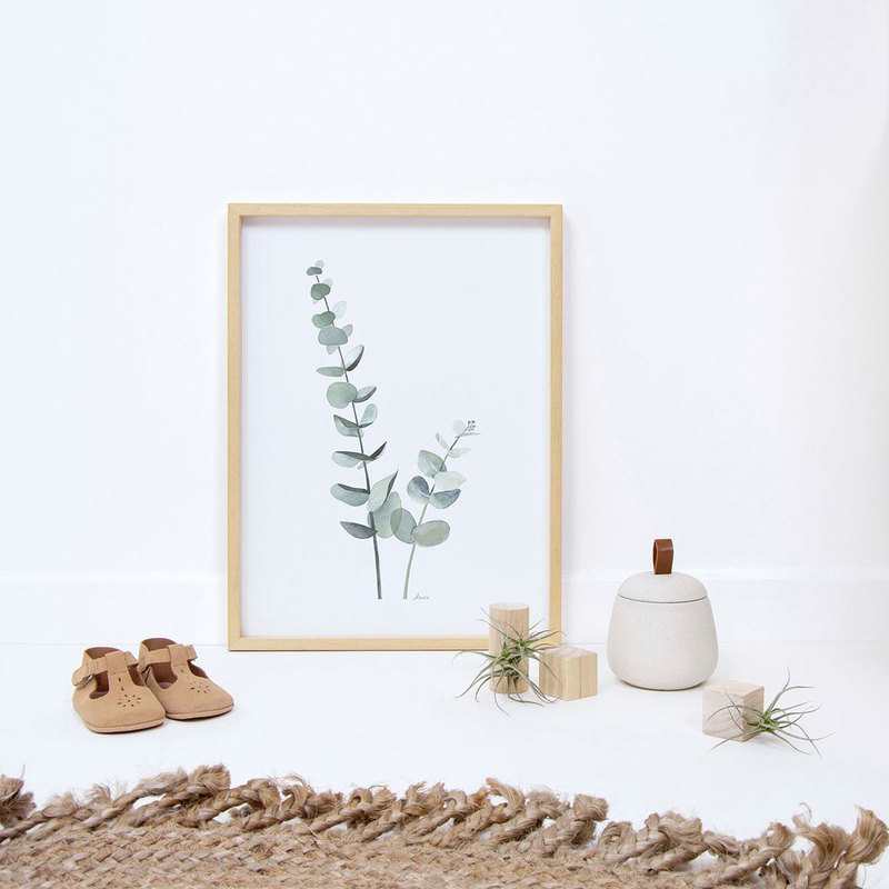 Affiche encadrée Tiges eucalyptus Lilipinso and Co