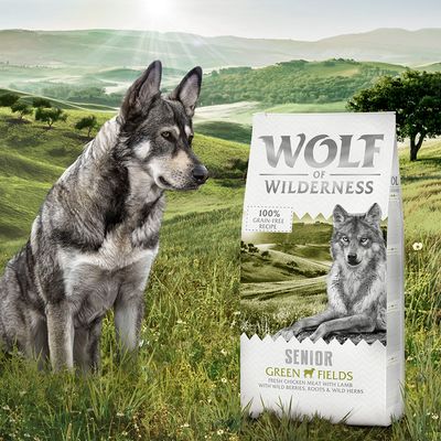 Wolf of Wilderness Senior 