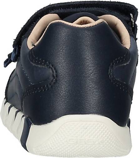 Geox Sneaker