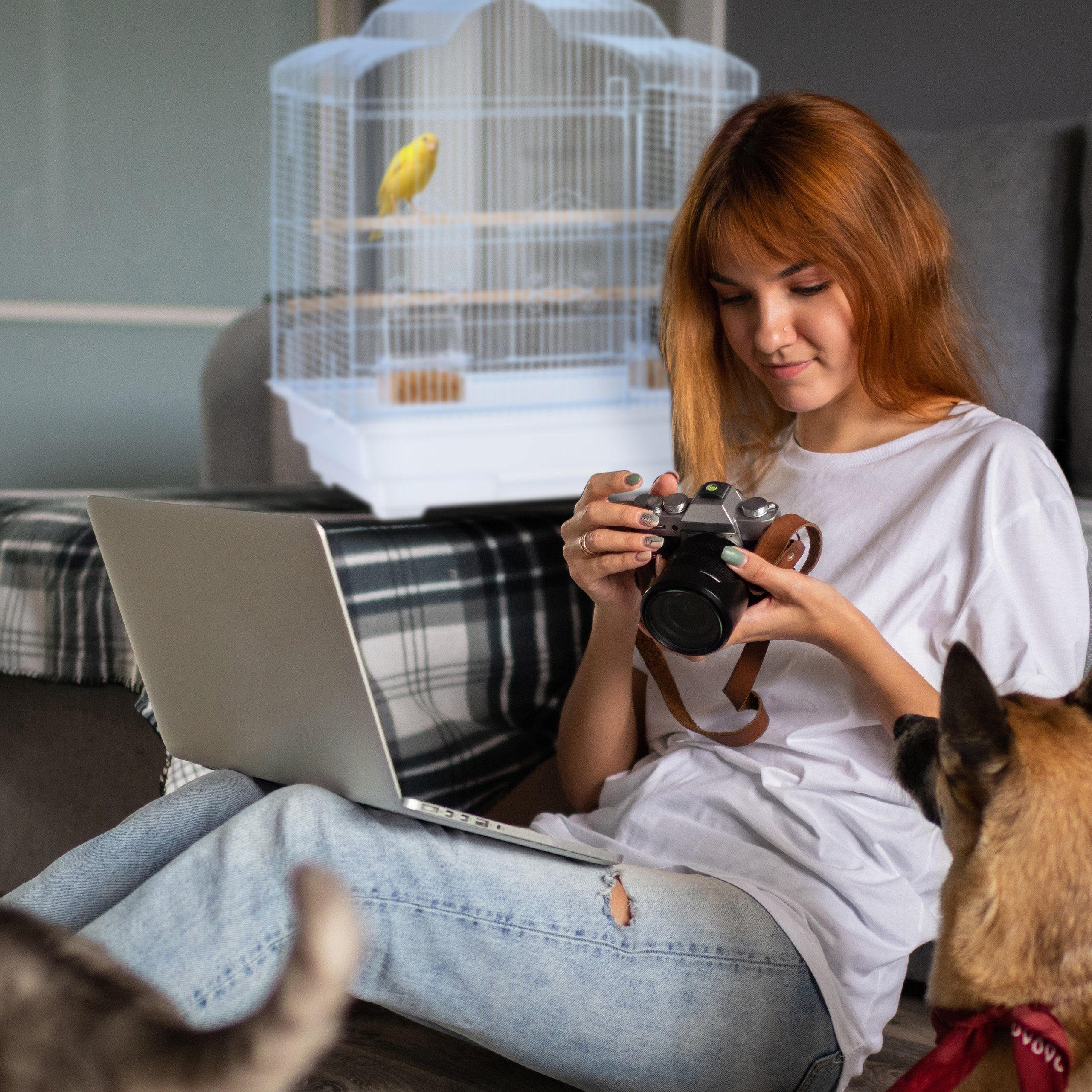 relaxdays Vogelkäfig Dekorativer Vogelkäfig