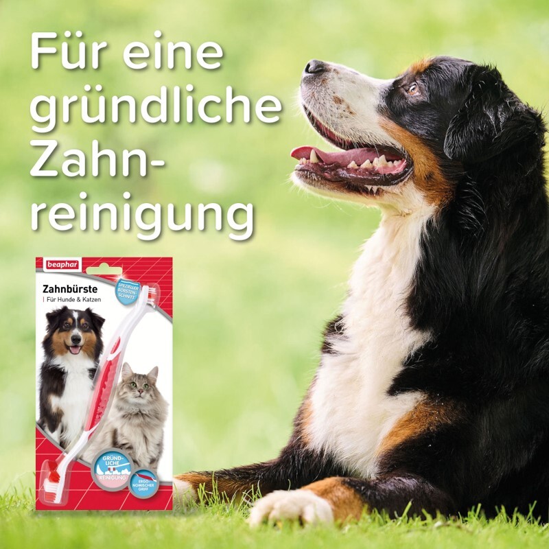 Beaphar Zahnpflege Beaphar Zahnbürste