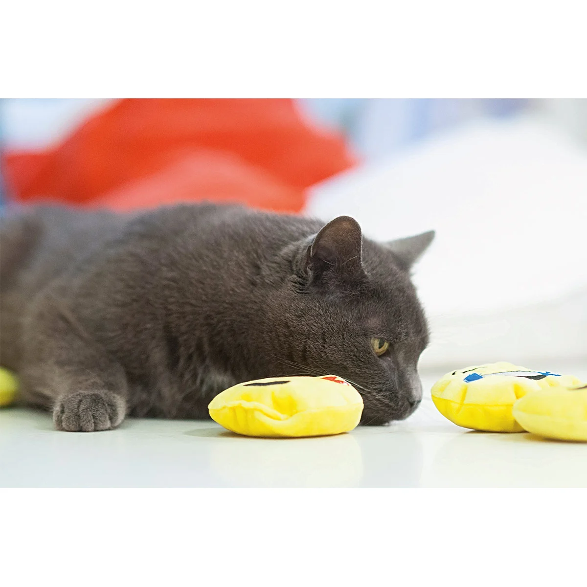 Aumüller Katzenspielkissen Emojis, 2er Set kaufen