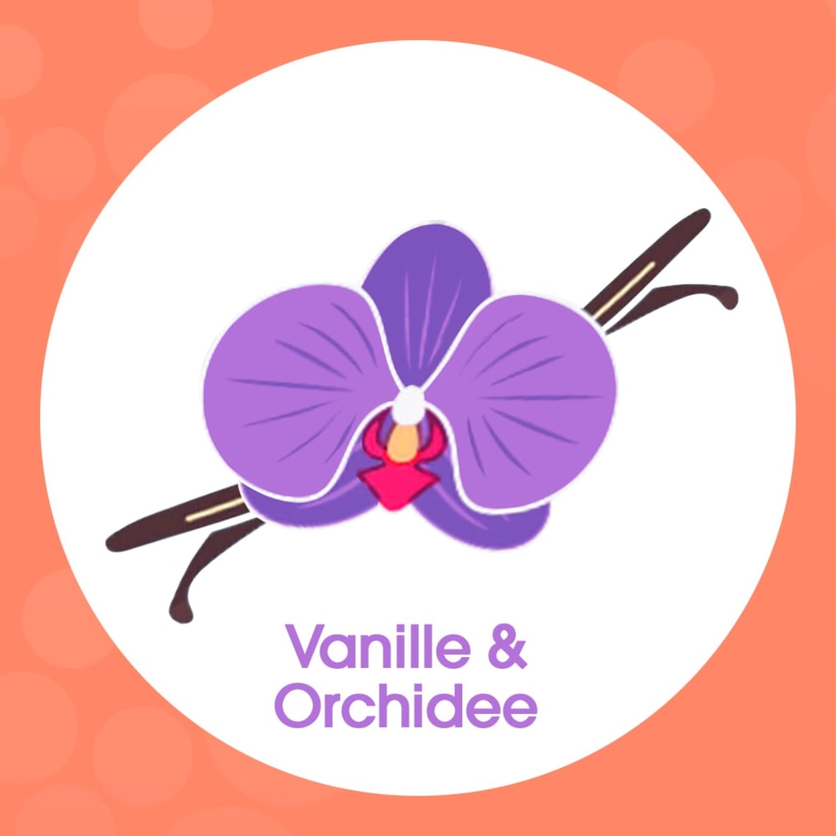 Schaumhandseife Vanille & Orchidee, 250 ml