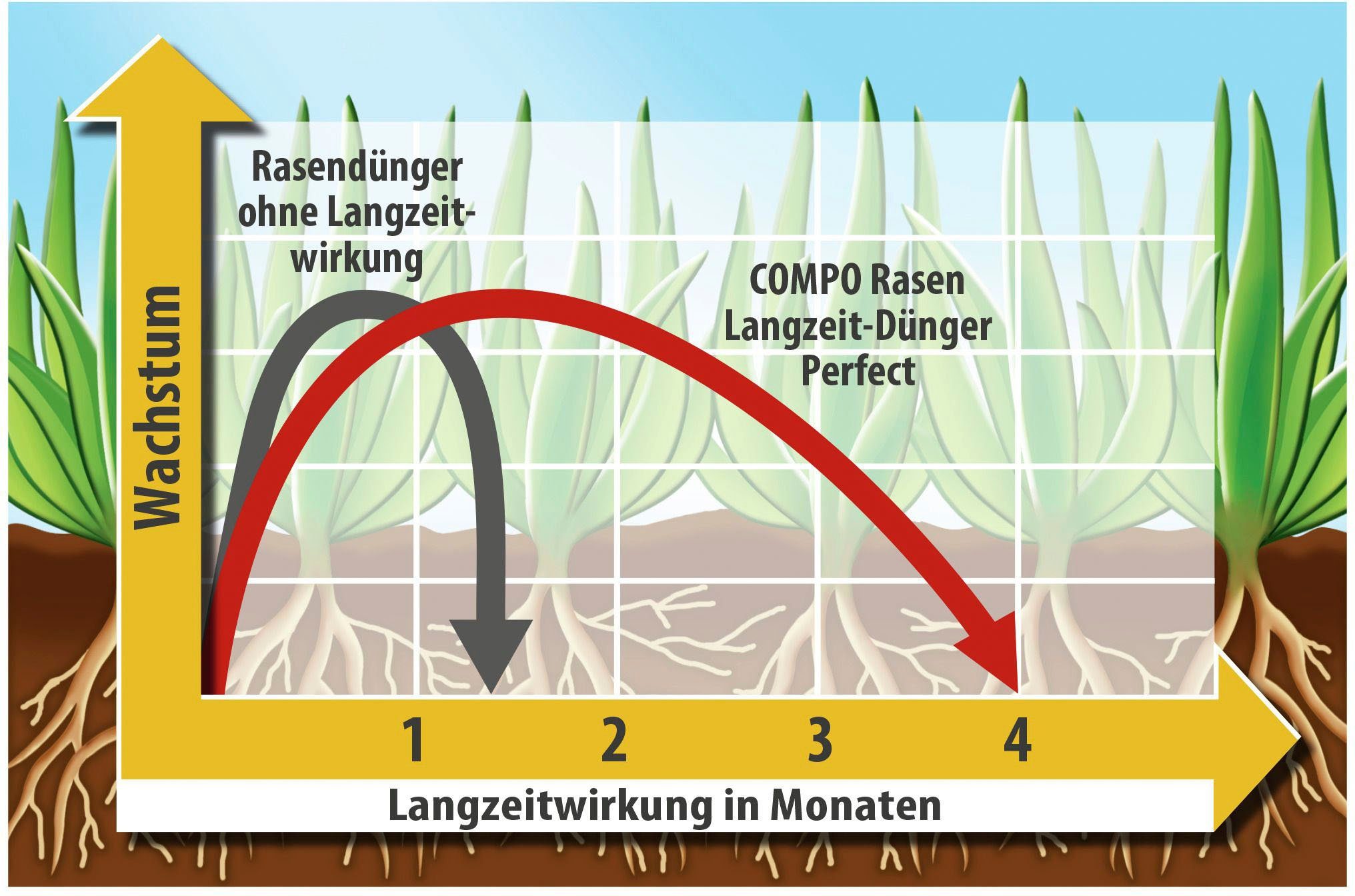 Compo Rasendünger Langzeit-Dünger Perfect, Granulat, 1,5 kg