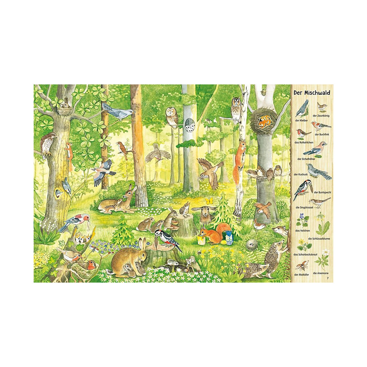 Mein großes Natur-Wimmelbuch