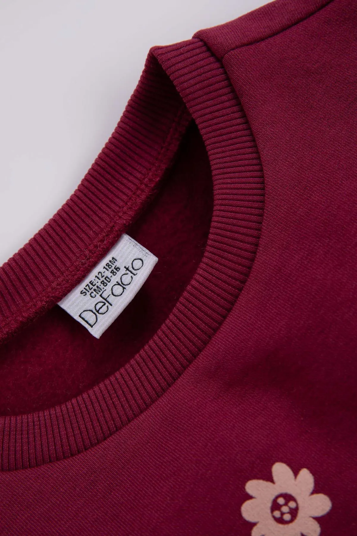 DeFacto  Dickes Sweatshirt mit normaler Passform und Rundhalsausschnitt für Babys und Mädchen