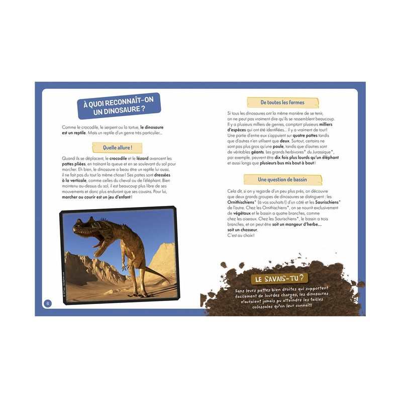 Coffret A la découverte des dinosaures NE - Auzou