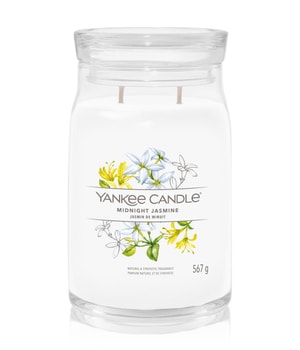Yankee Candle Midnight Jasmine Duftkerze-368 g