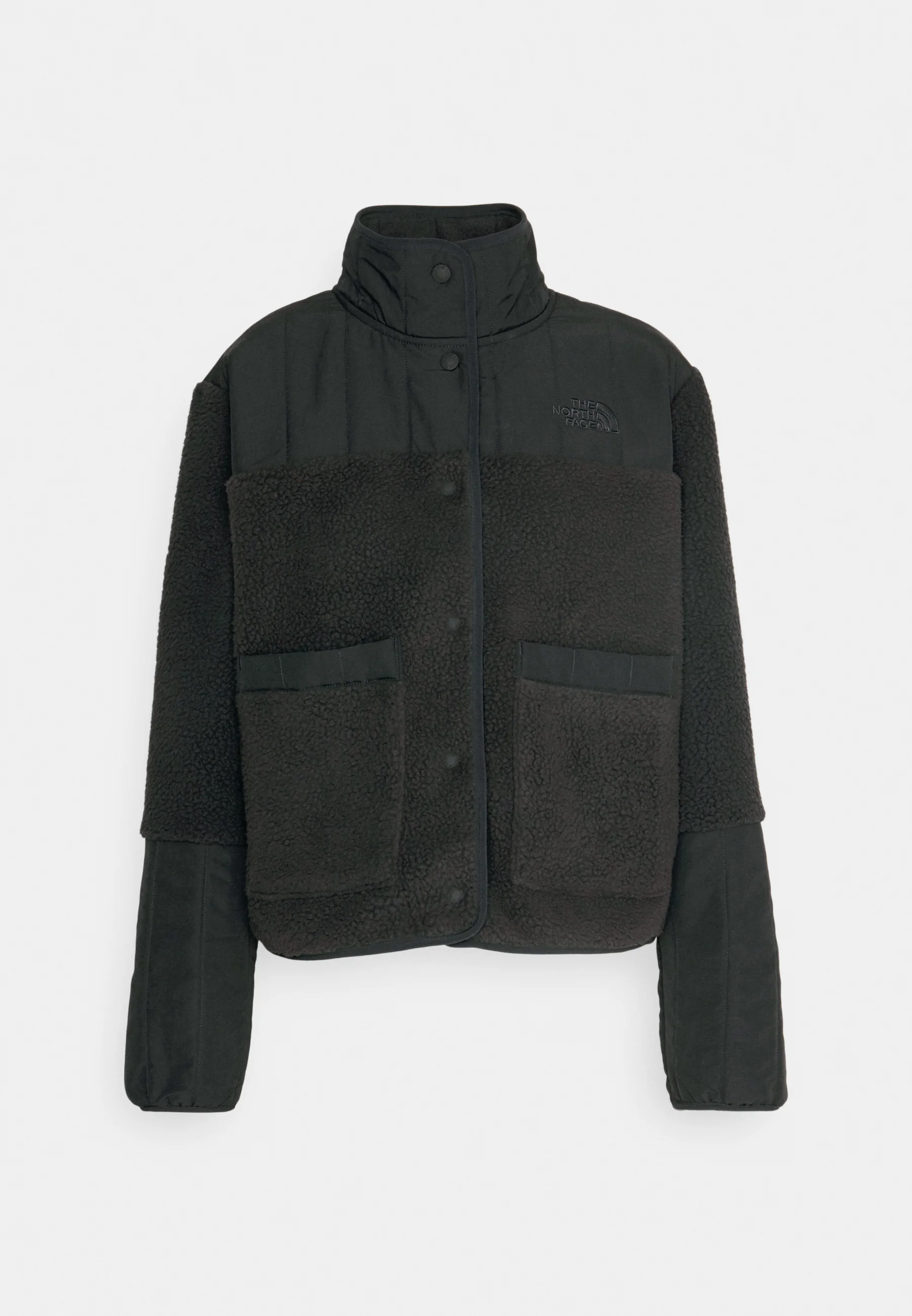 The North Face CRAGMONT JACKET - Chaqueta polar