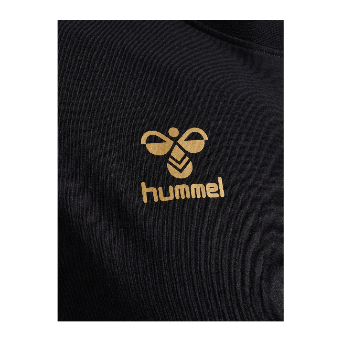 Hummel hmlE24C Cotton T-Shirt Schwarz F2128