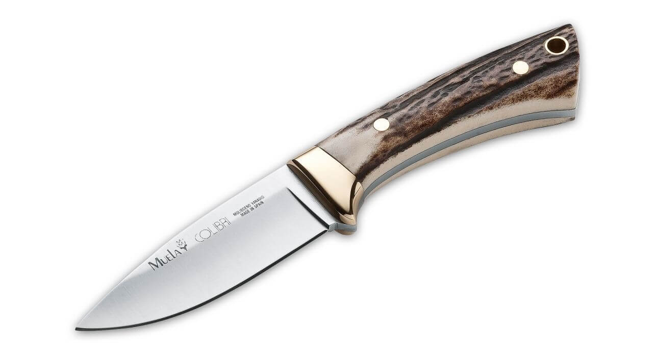 Colibri Stag