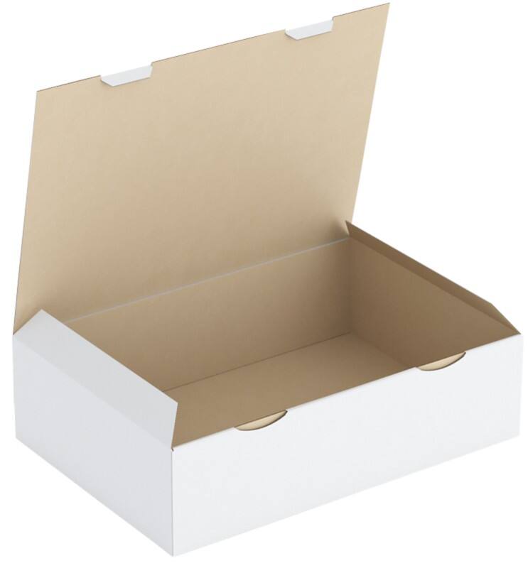RAJA Versandkarton 1-wellig Pappe 300 (B) x 120 (T) x 430 (H) mm Weiß 50 Stück