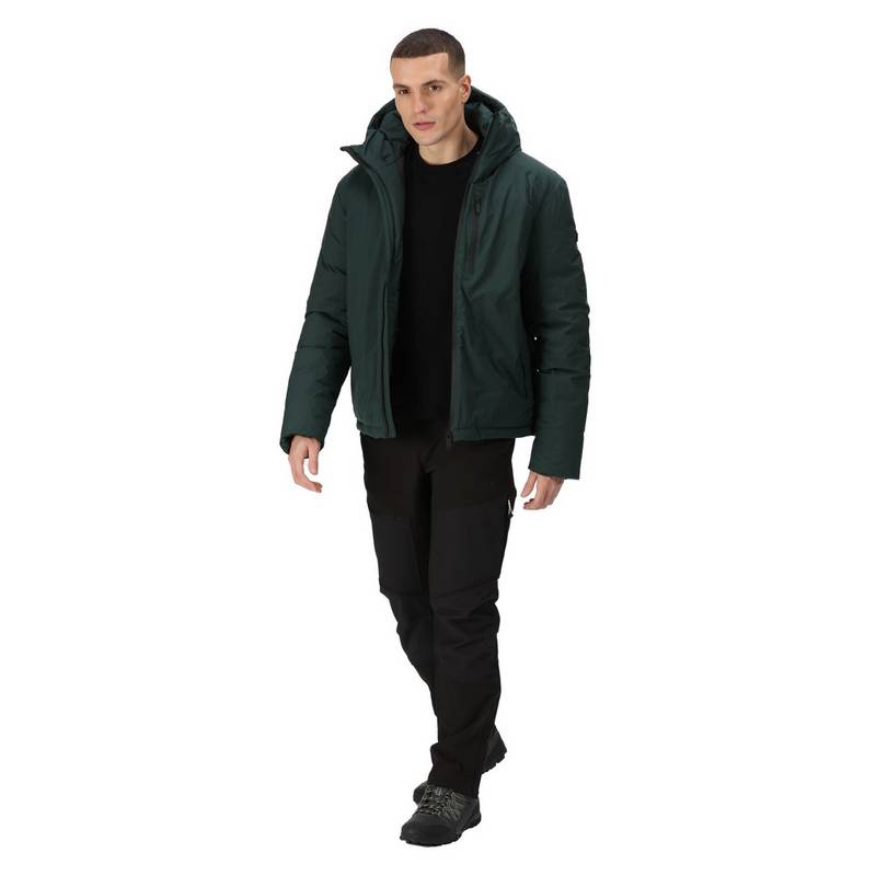 Regatta Colehurst Winterjacke Herren