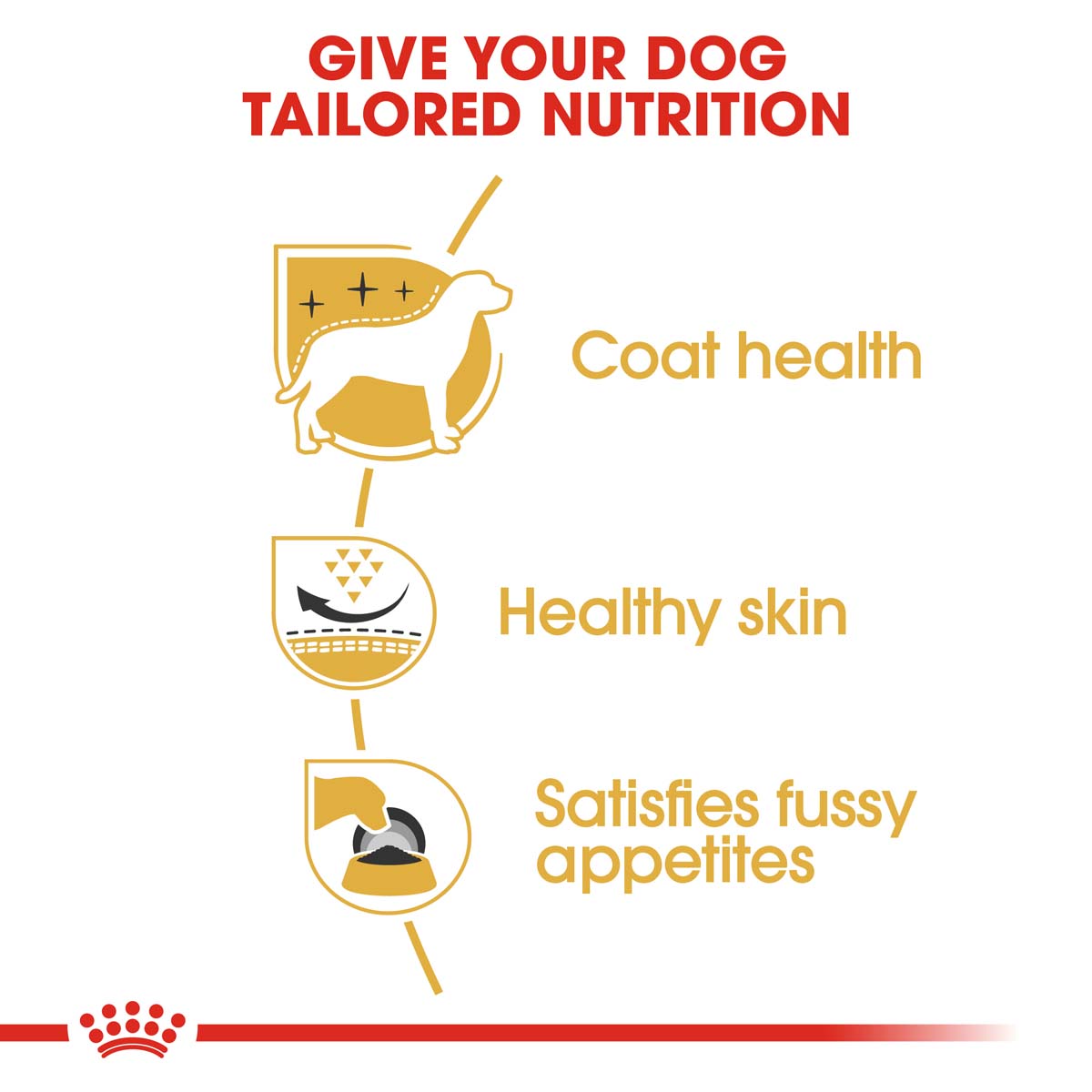 ROYAL CANIN West Highland White Terrier Adult Hundefutter trocken
