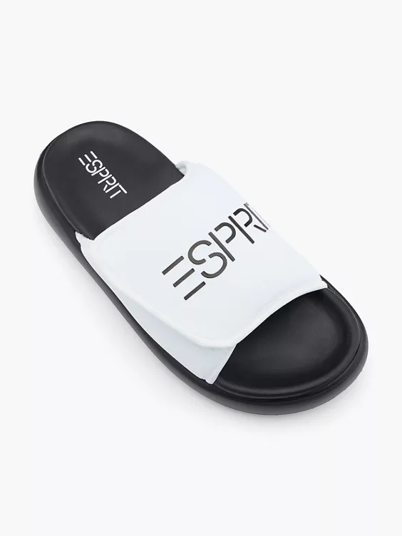 ESPRIT Slides