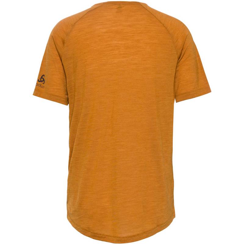 Odlo ASCENT 130 LANDSCAPE Funktionsshirt Herren