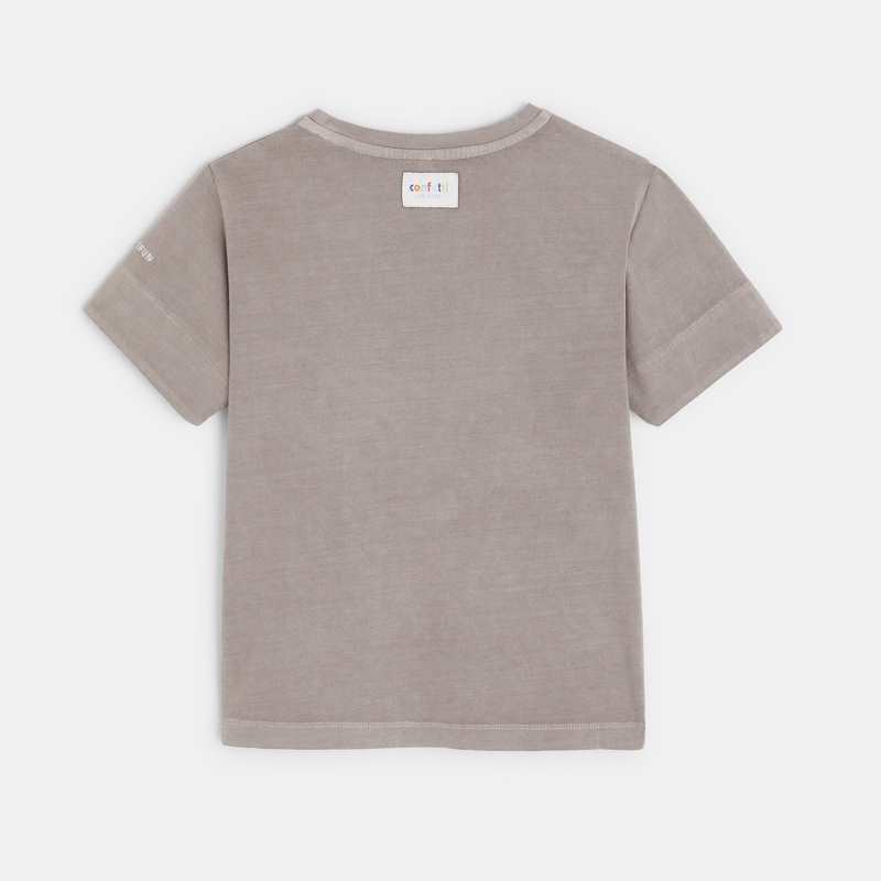 T-shirt gris CONFETTI pigments naturels mixte