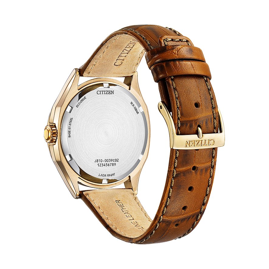 Citizen Herrenuhr Leder Eco Drive