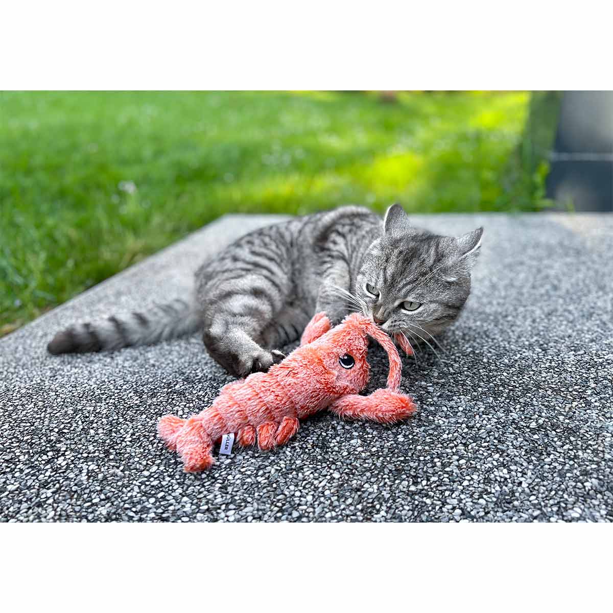 Aumüller Katzenspielkissen Zappel-Hummer orange