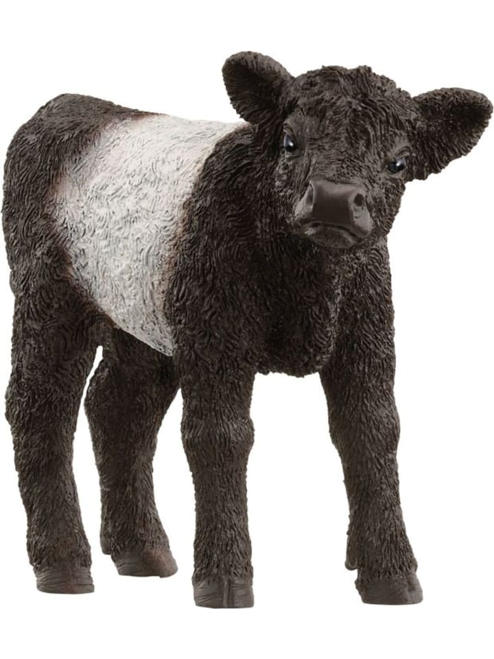 Schleich Farm World Galloway Kalb in Mehrfarbig ab 3 Jahre günstig kaufen onesize