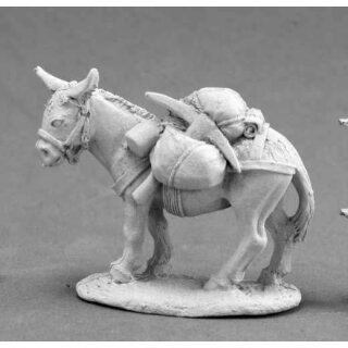 Pack Donkey (REA03671)