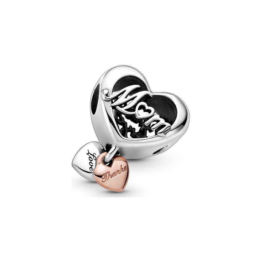 Pandora Charm Moments