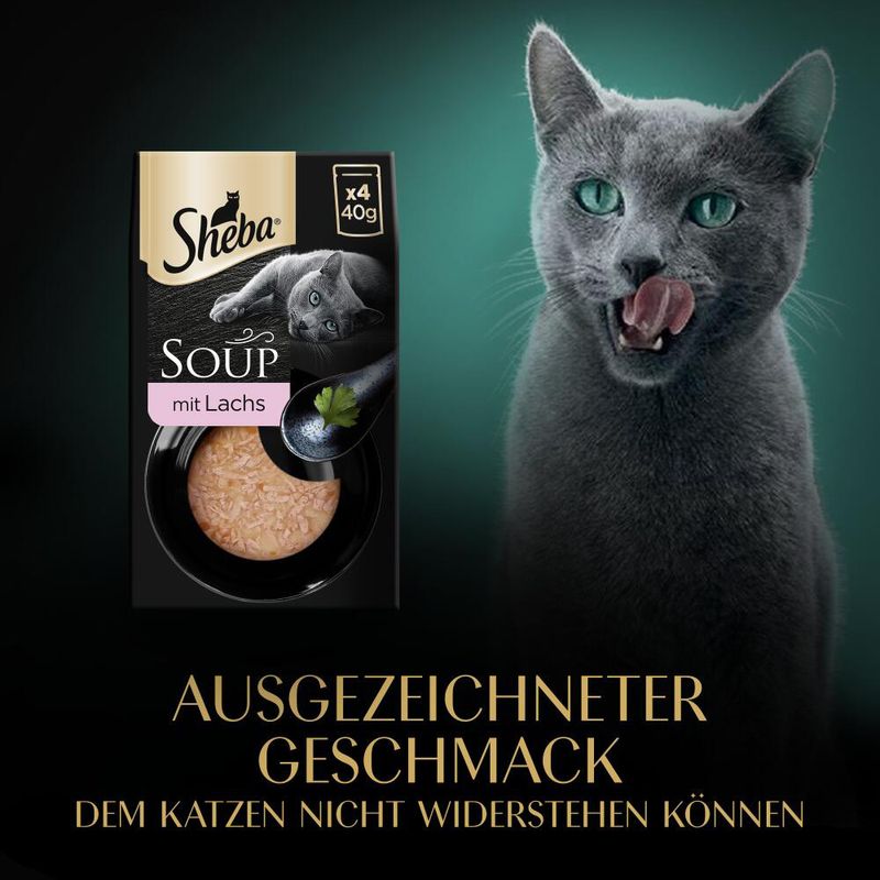 Sheba Classic Soup 40 x 40 g zu TOP-Preisen