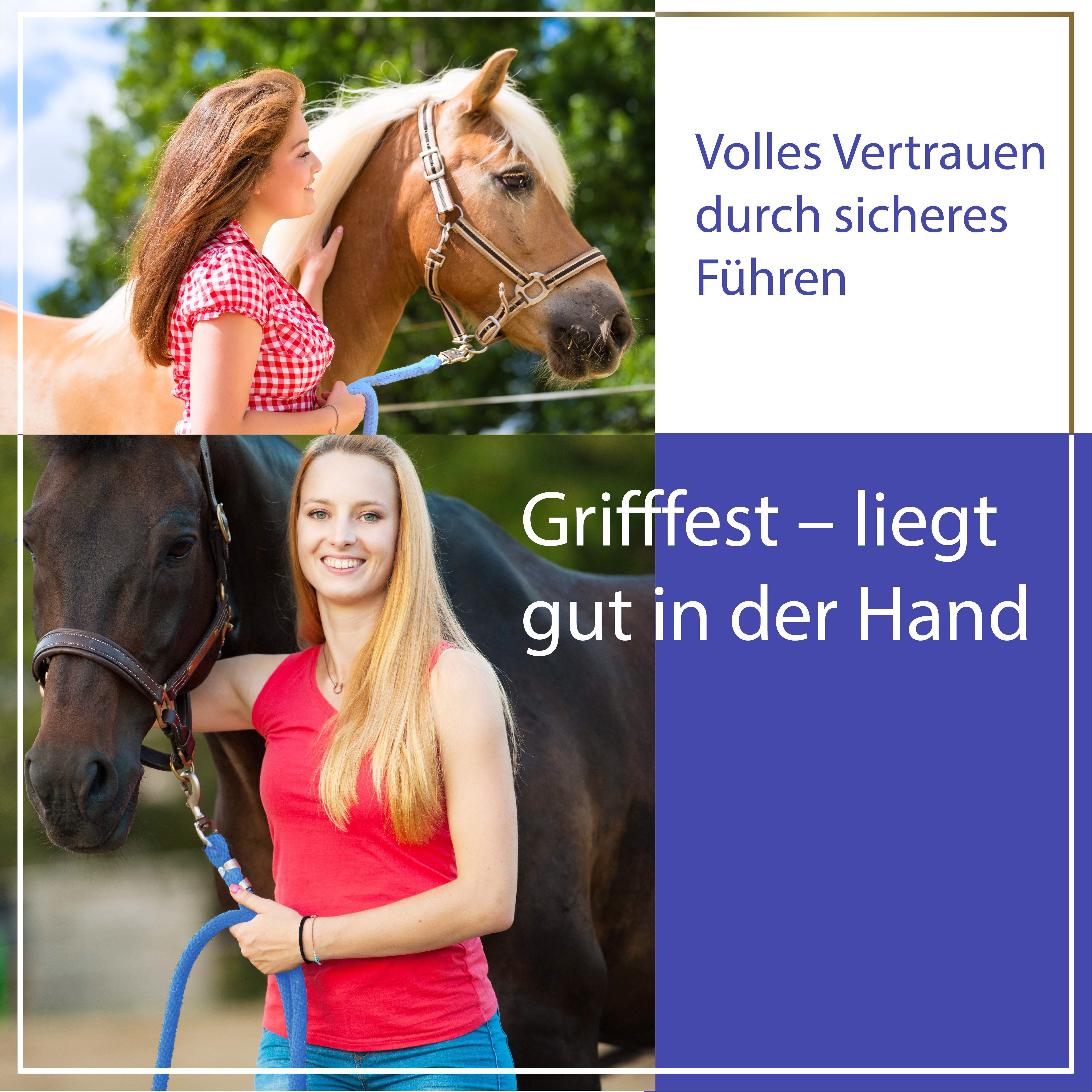 Pferdelinis Anbinde- / Führstrick Führstrick für Pferde, Anbindestrick, Führstrick mit Karabiner 2,5m, Länge 2,5m