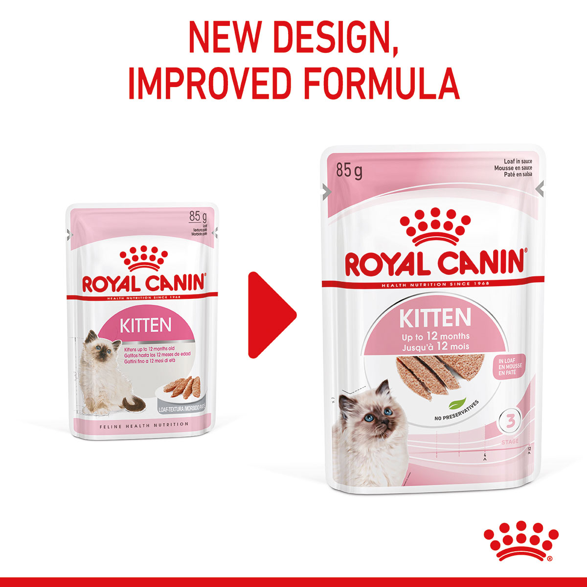 ROYAL CANIN KITTEN Nassfutter in Mousse für Kätzchen bei ZooRoyal
