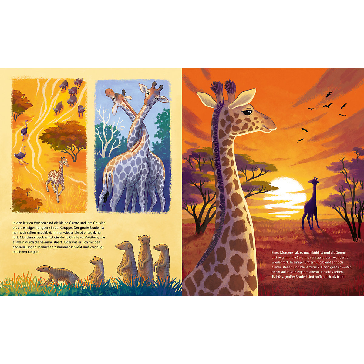 Die kleine Giraffe - Zu Hause in der Savanne