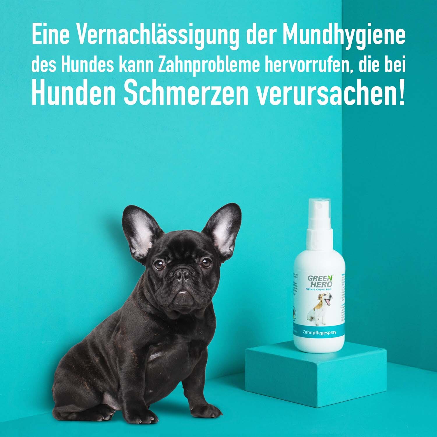 Greenhero Zahnpflege Greenhero Zahnpflegespray