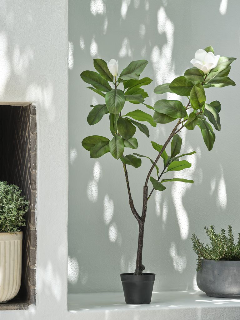 SPINDEL Kunstig plante SPINDEL H120cm magnolia