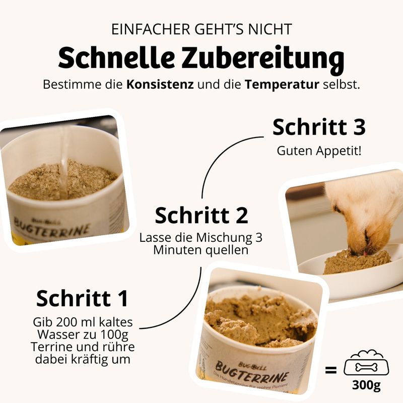 BugBell BugTerrine Adult Insekten, Banane und Chiasamen