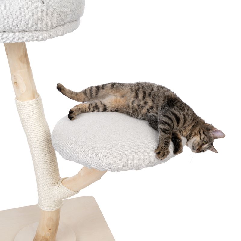 Modern Living Kratzbaum Alofi zu TOP-Preisen