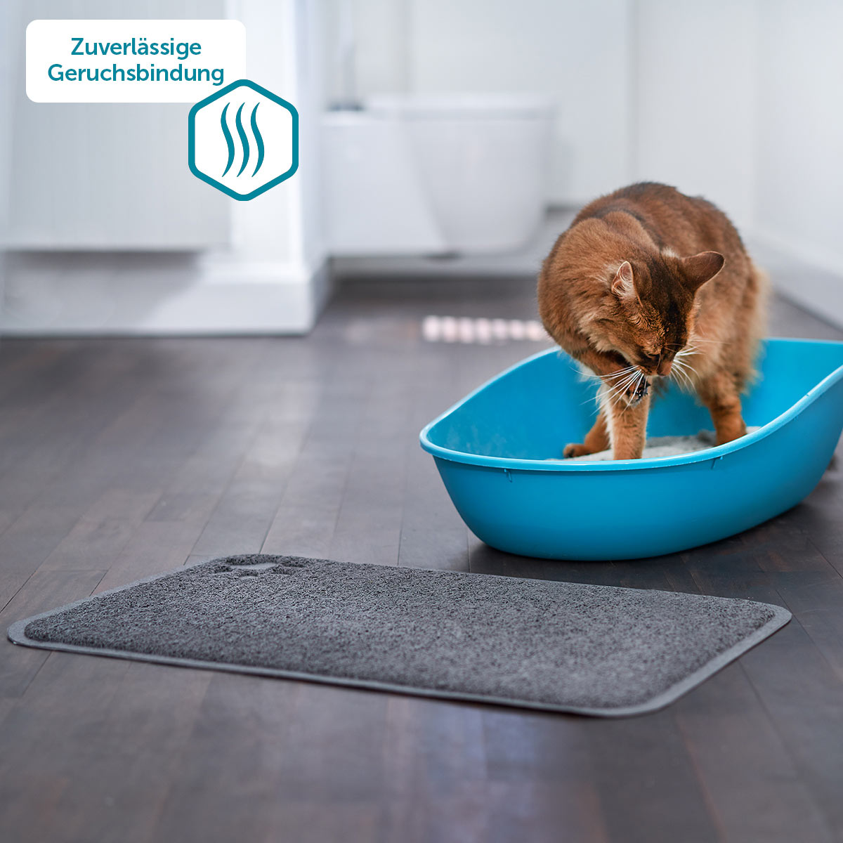 ZooRoyal Tigrooo Blue Magic günstig kaufen
