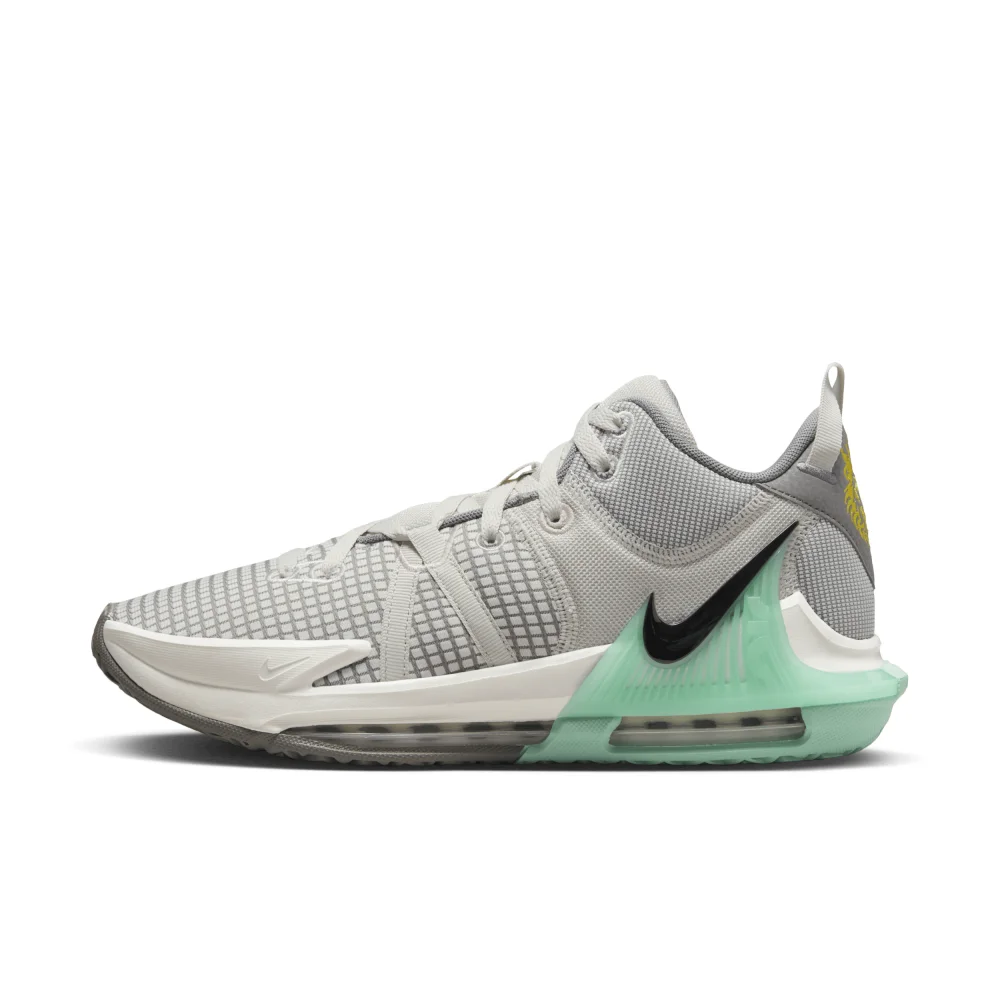 Nike LeBron Witness 7 DM1123-006 / grau