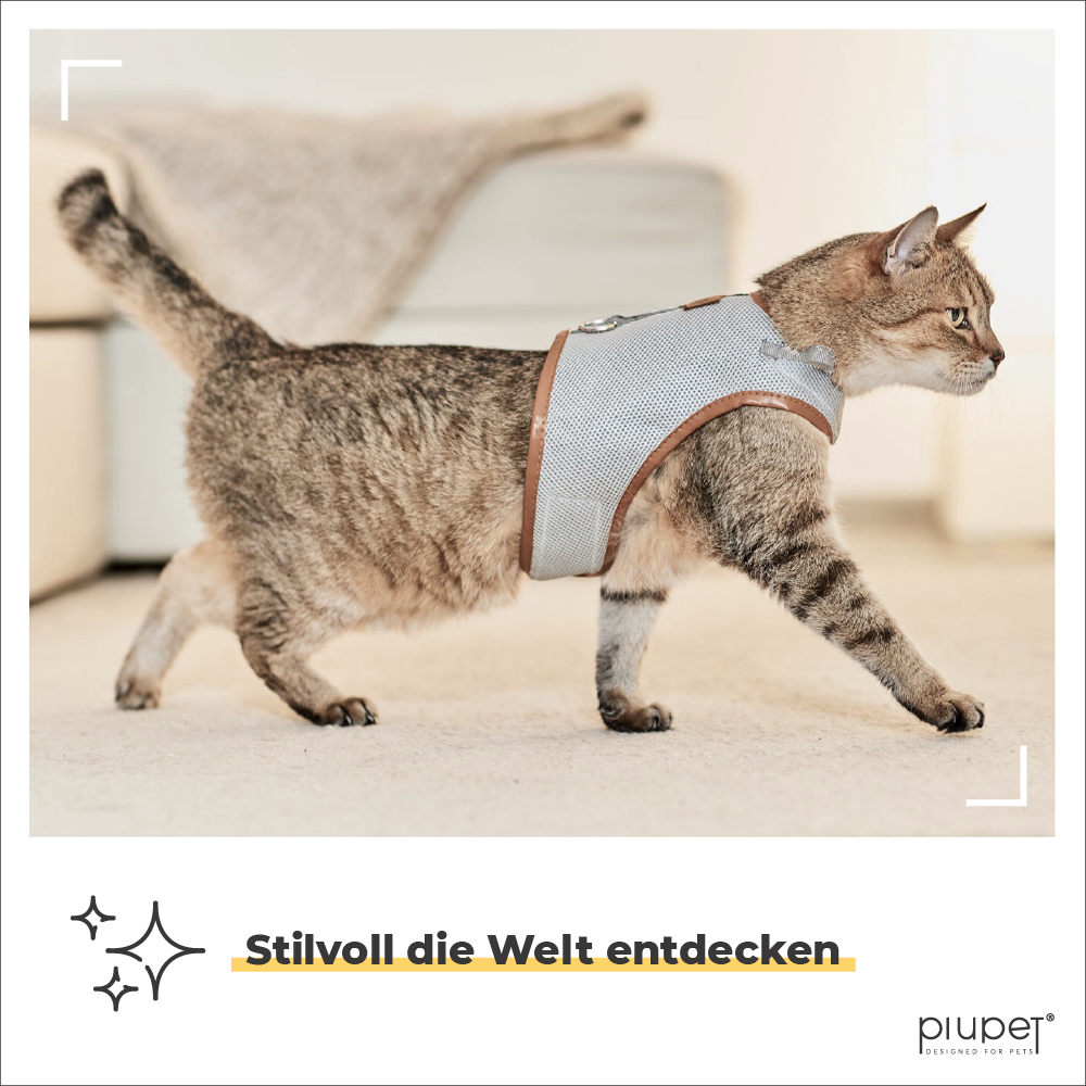 PIUPET Geschirre & Leinen PIUPET Katzengeschirr S