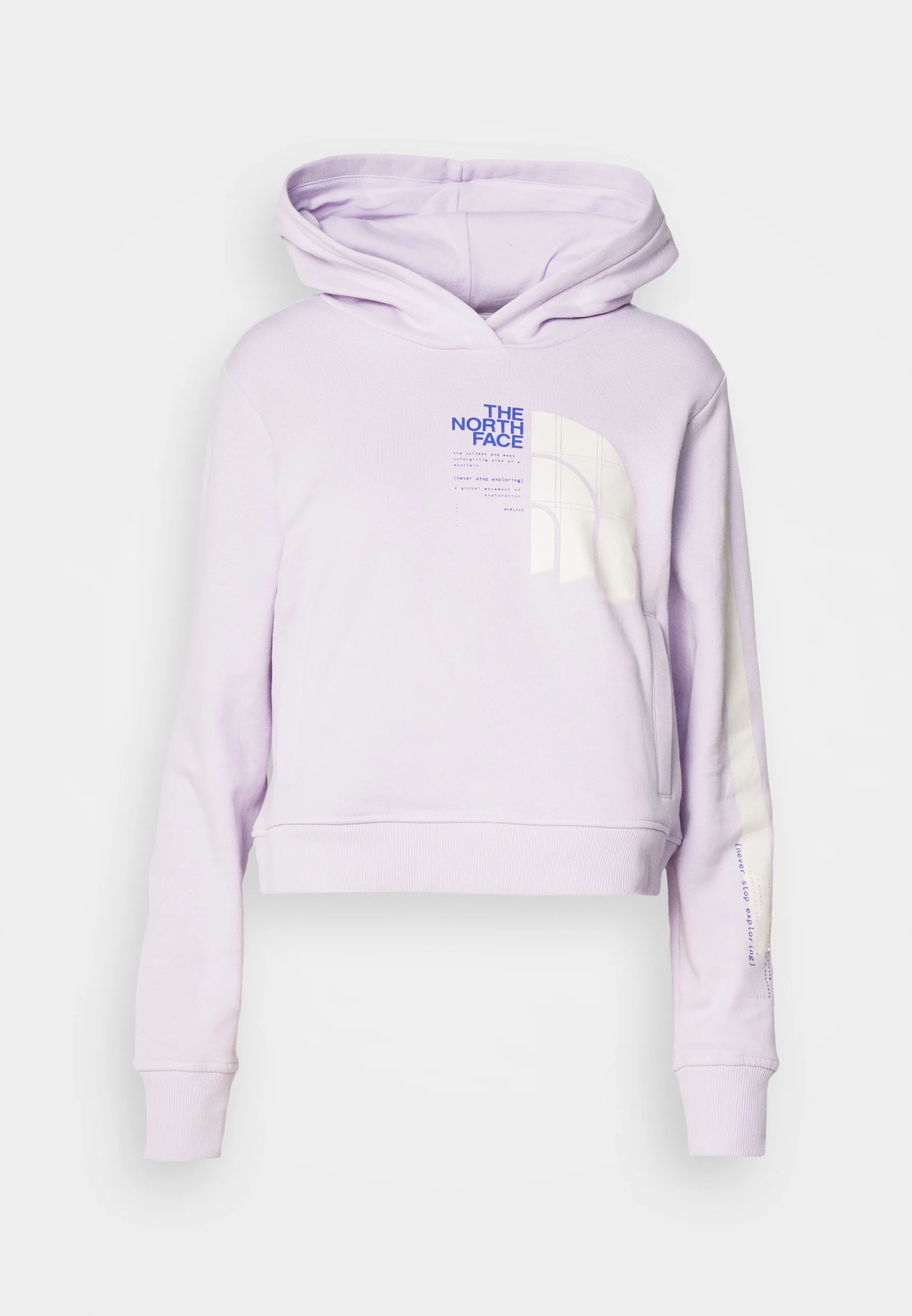 Sudadera con capucha gráfica The North Face