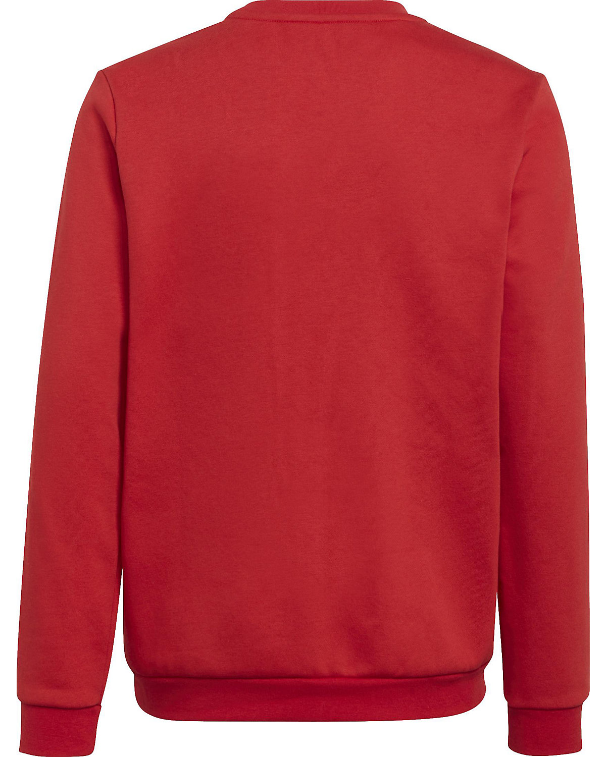 Sweatshirt ENT22 SW TOPY für Jungen