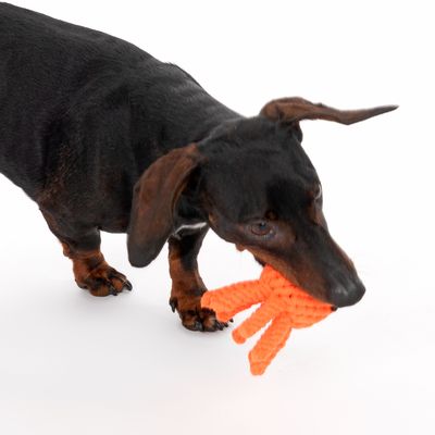 TIAKI Hundespielzeug Oktopus