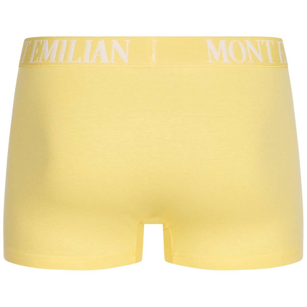 MONT EMILIAN 